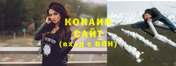 крисы Няндома