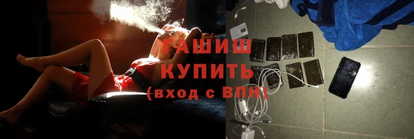 крисы Няндома