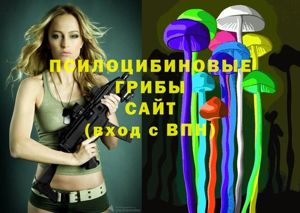гидра Нягань