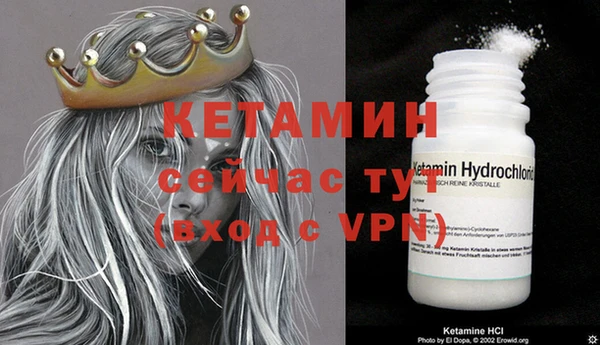 крисы Няндома