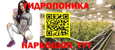 экстази Гусев