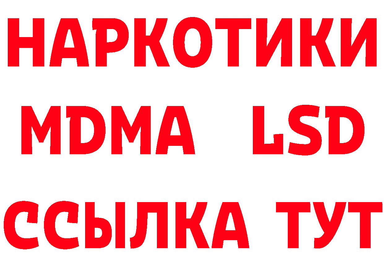 ГАШ Изолятор как войти мориарти блэк спрут Коркино