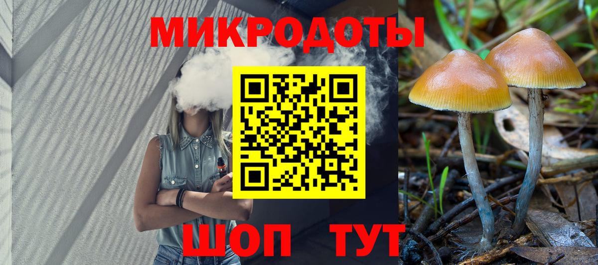 Псилоцибиновые грибы Cubensis Коркино