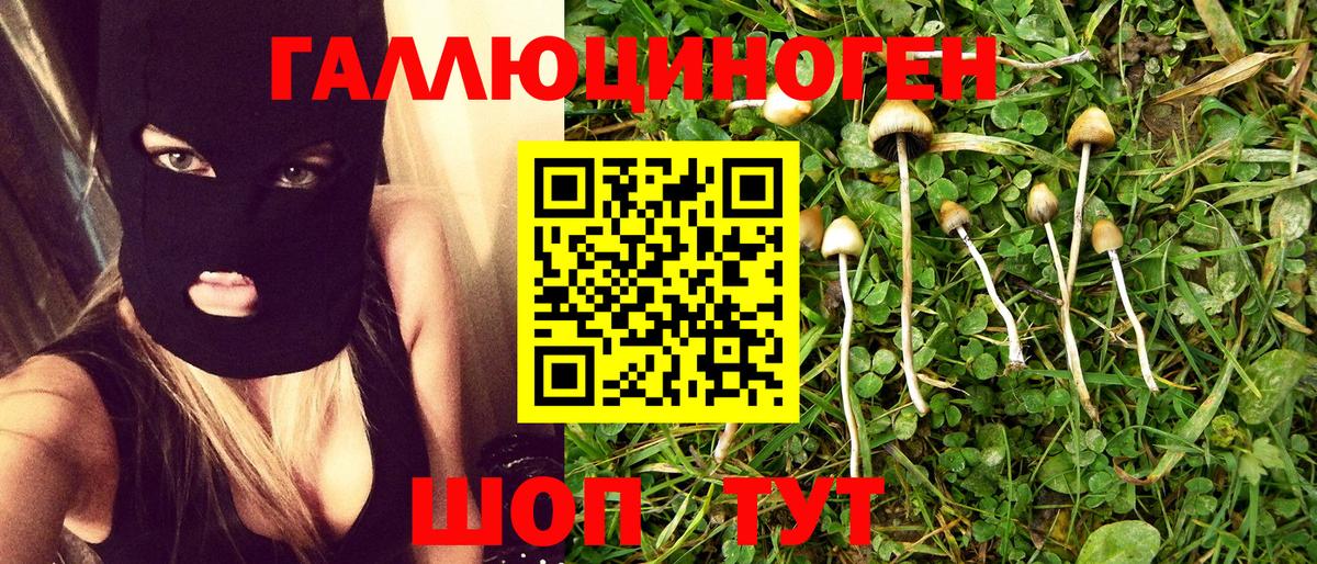 Галлюциногенные грибы Psilocybe  Псилоцибиновые грибы Psilocybe  Вход с VPN  Коркино 