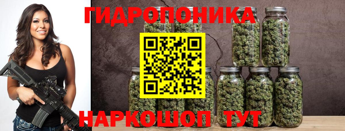 Канабис семена Коркино